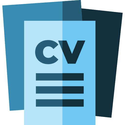 curriculum vitae