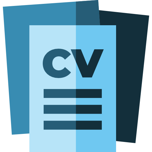 curriculum vitae
