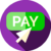 icon_pay